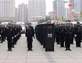 1634797494002059037.jpg fwxm03.jpg